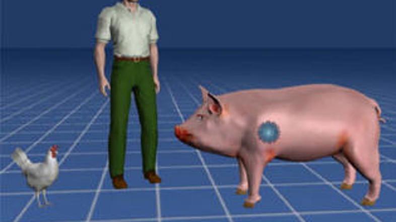 Pandemija je bolj verjetna pri tistih virusih, ki se zlahka širijo pri nizkih te