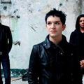 Placebo (Stefan Olsdal, Steve Forrest in v ospredju Brian Molko)