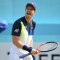 Andy Murray