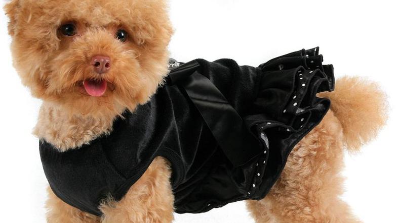 Črna obleka Tiffany, 47,90 EUR