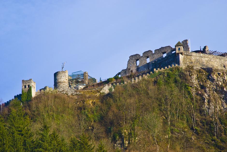 Beljak | Avtor: Profimedia