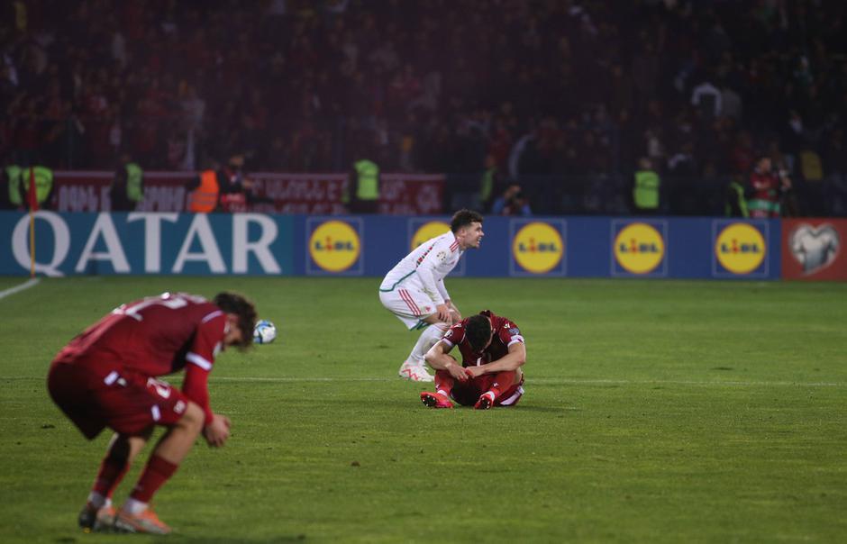 Armenija : Wales | Avtor: Profimedia