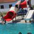 Tequila pool party