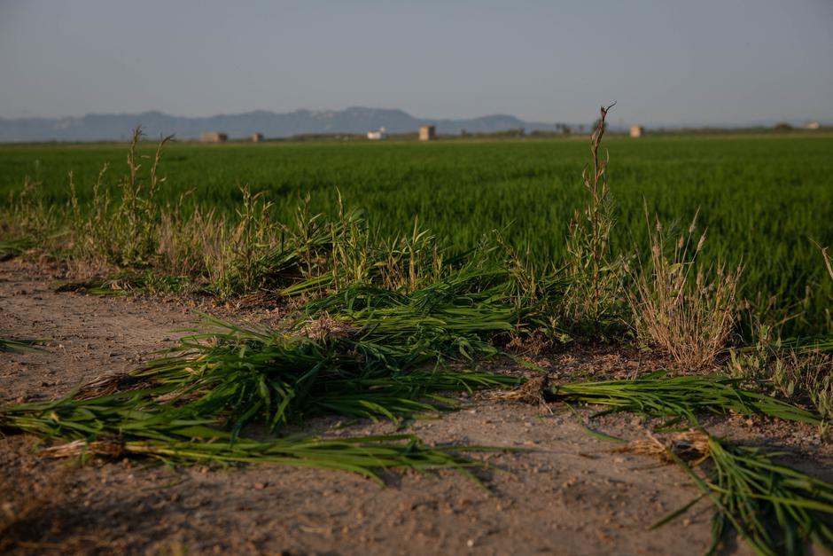 Onesnaženje poljščin | Avtor: Profimedia