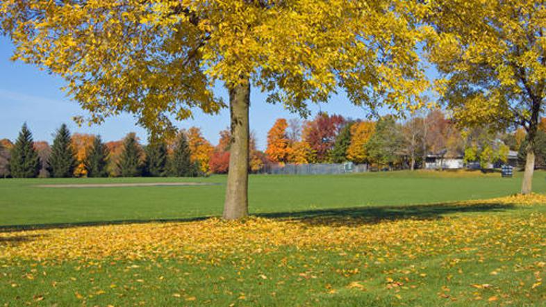 (Foto: Shutterstock)