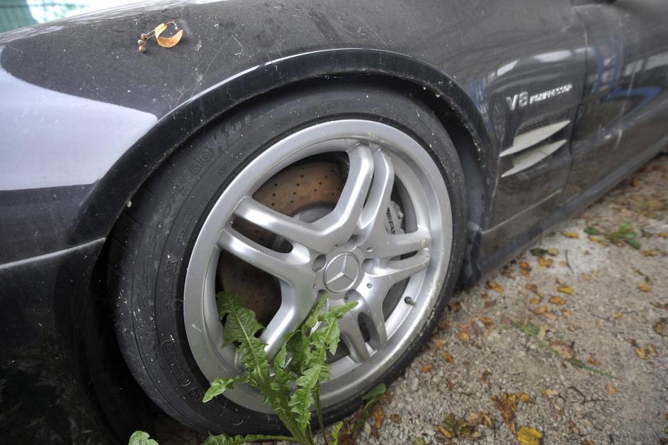 furs | Avtor: Anže Petkovšek