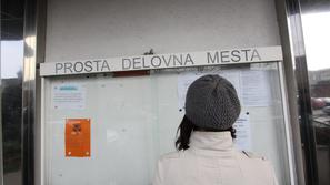 Med na novo prijavljenimi je bilo lani na zavodu za zaposlovanje okoli 1.330 isk
