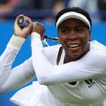 Venus Williams