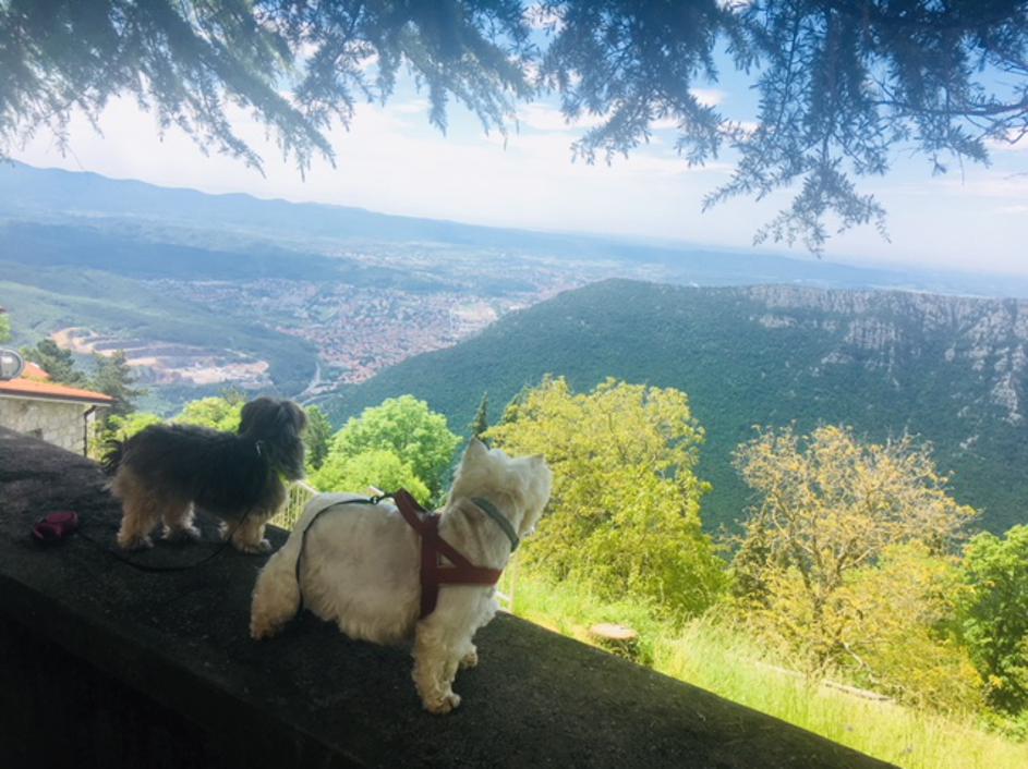 Z Opel Combom na potep