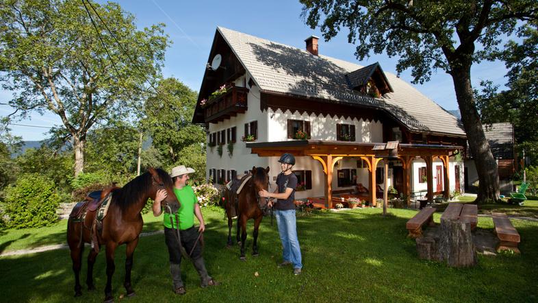 Združenje turističnih kmetij Slovenije