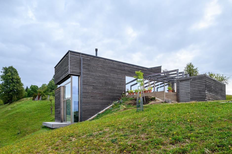 Hiša za pet | Avtor: Miran Kambič