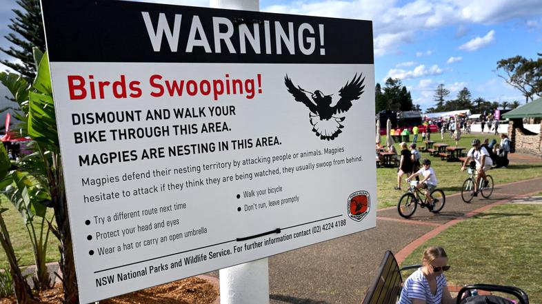 SP v kolesarstvu, Wollagong