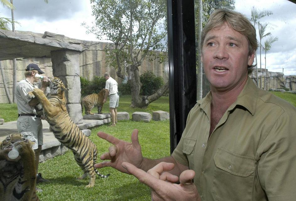 Steve Irwin