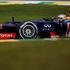 formula 1 vn brazilija vettel red bull