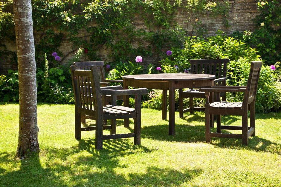 Zaščita lesa | Avtor: Profimedia