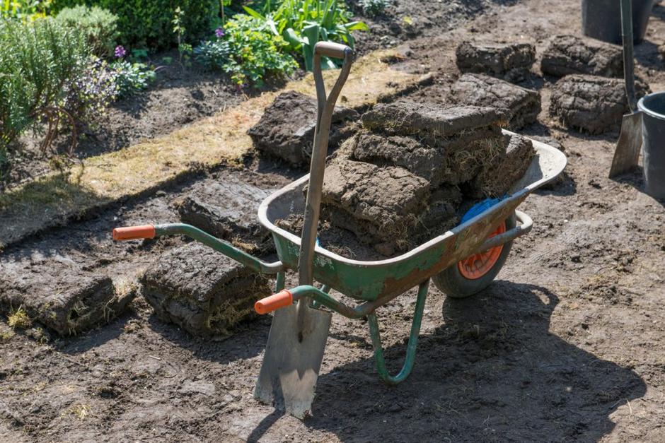 kompost zemlja vrt | Avtor: Profimedias