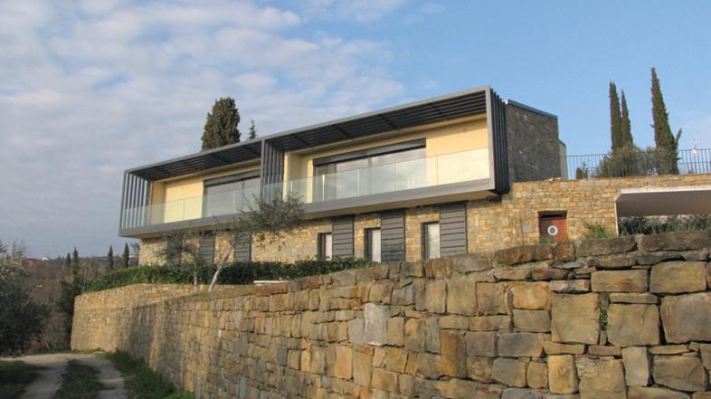 Hiša Vitoslava Türka