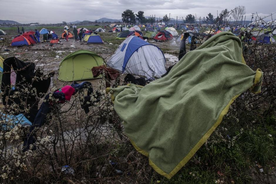 Begunci v Grčiji  | Avtor: EPA