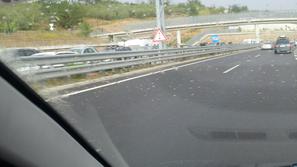 Gneča proti Primorski