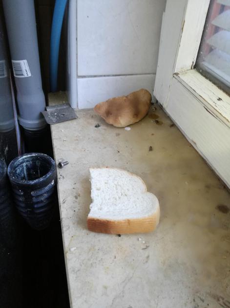 Umazanija v gostilni