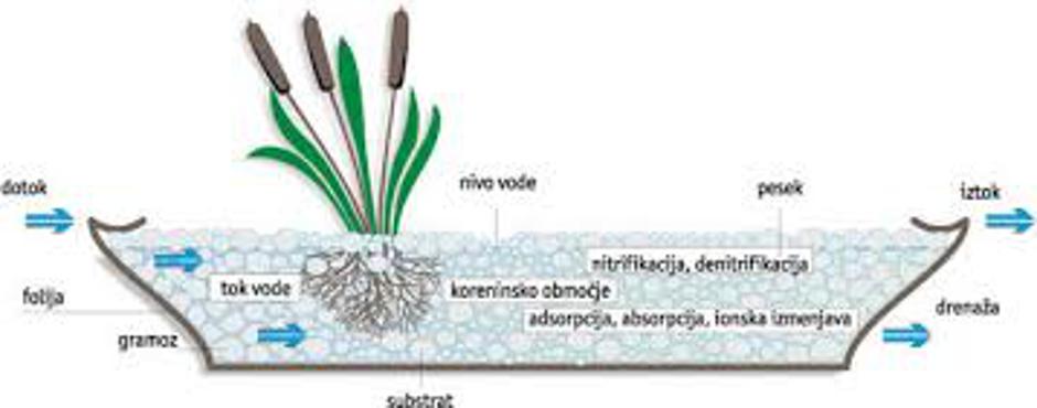 Rastlinska čistilna naprava | Avtor: arhiv eu-skladi