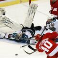 Detroit Red Wings : San Jose Sharks 3:1