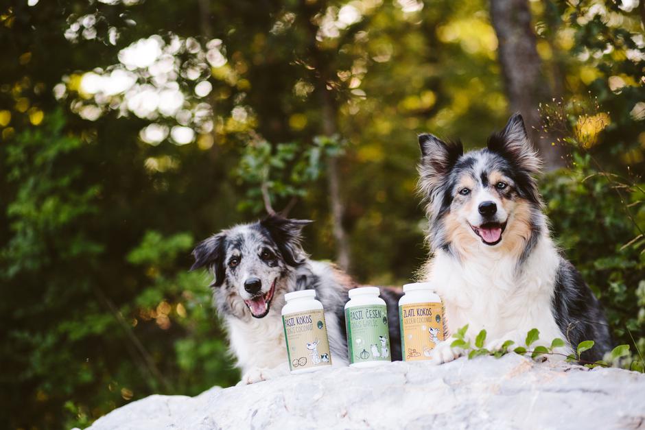 Naravno zdrav pes | Avtor: Naravno zdrav pes