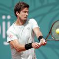 Aljaž Bedene