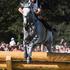 Eventing Cross Country, World Equestrian Games in Lexington, Kentucky