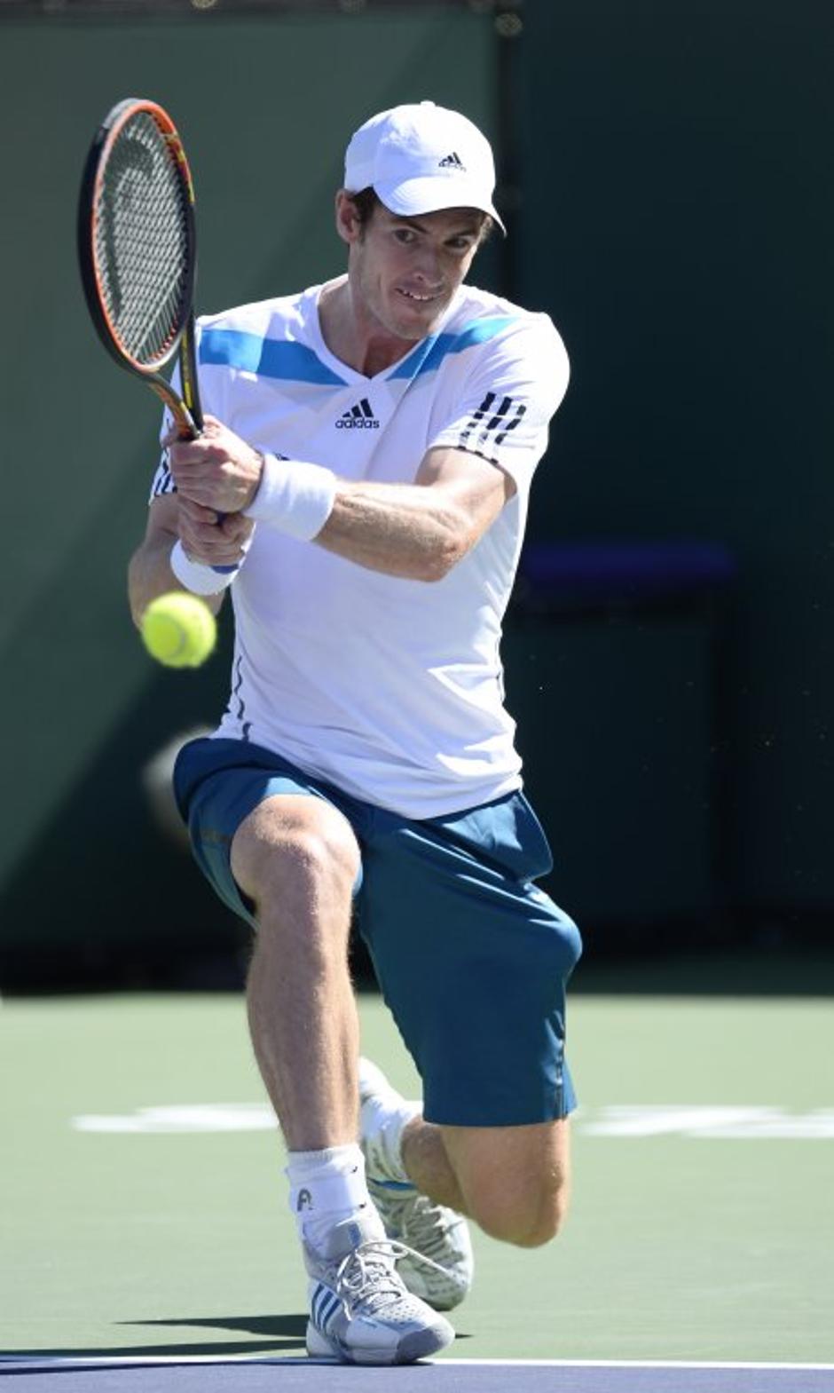 andy murray indian wells | Avtor: EPA