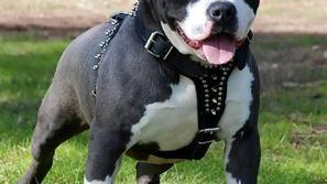 To je bil že drugi tovrsten incident v Španiji v manj kot enem mesecu. (Foto: EP