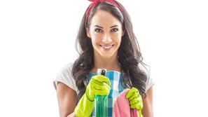 Čiščenje, čistila, gospodinja
