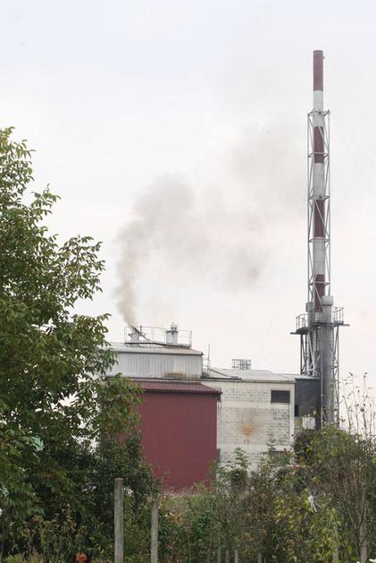 Pinus, Rače, požar, podjetje, fitofarmacevtska sredstva