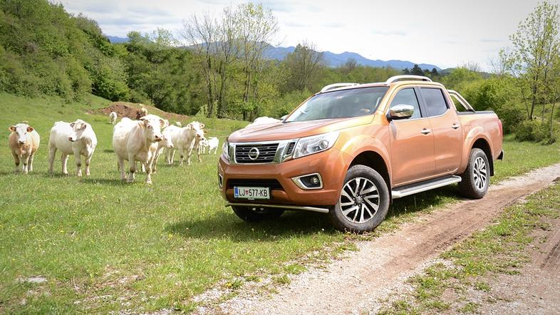 Nissan navara