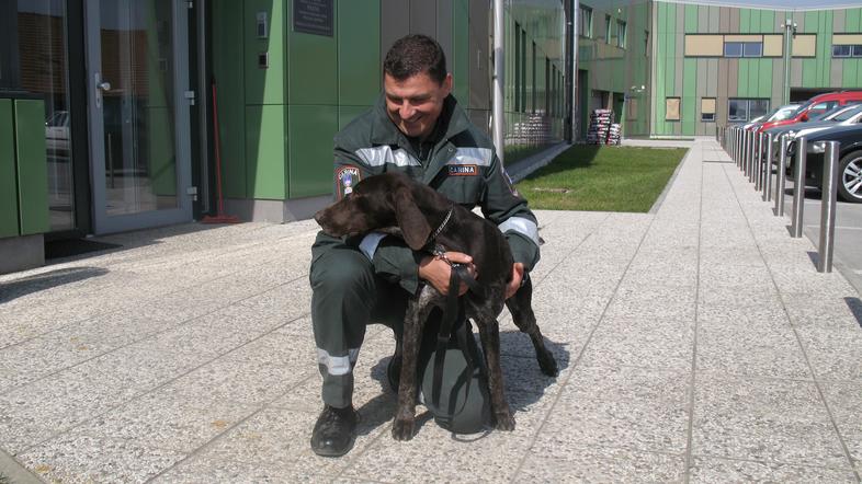 Psa so izšolali v oddelku za šolanje službenih psov slovenske policije. Gre za p