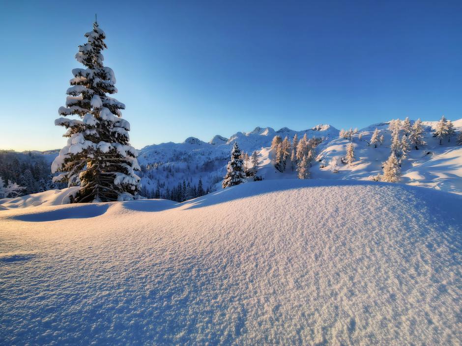 Huawei | Avtor: Zlata jutranja svetloba, Planota Komna, Foto: Jaka Ivančič