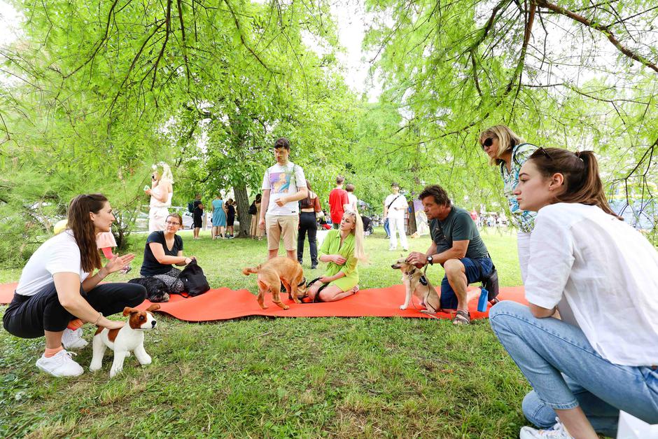 Festival za ljubitelje živali 2023 | Avtor: Saša Despot