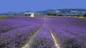 Maja se bodo temperature na Azurni obali in v Provansi povzpele že krepko nad 20