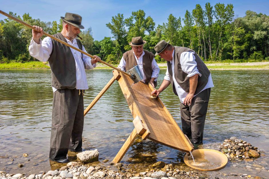 Zlata Drava | Avtor: Saša Despot