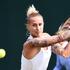 polona hercog wimbledon 2017