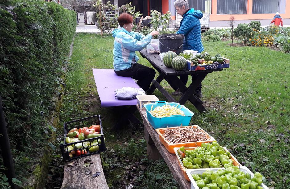 Društvo Sorško polje in kranjska botrinja | Avtor: arhiv Društvo Sorško polje