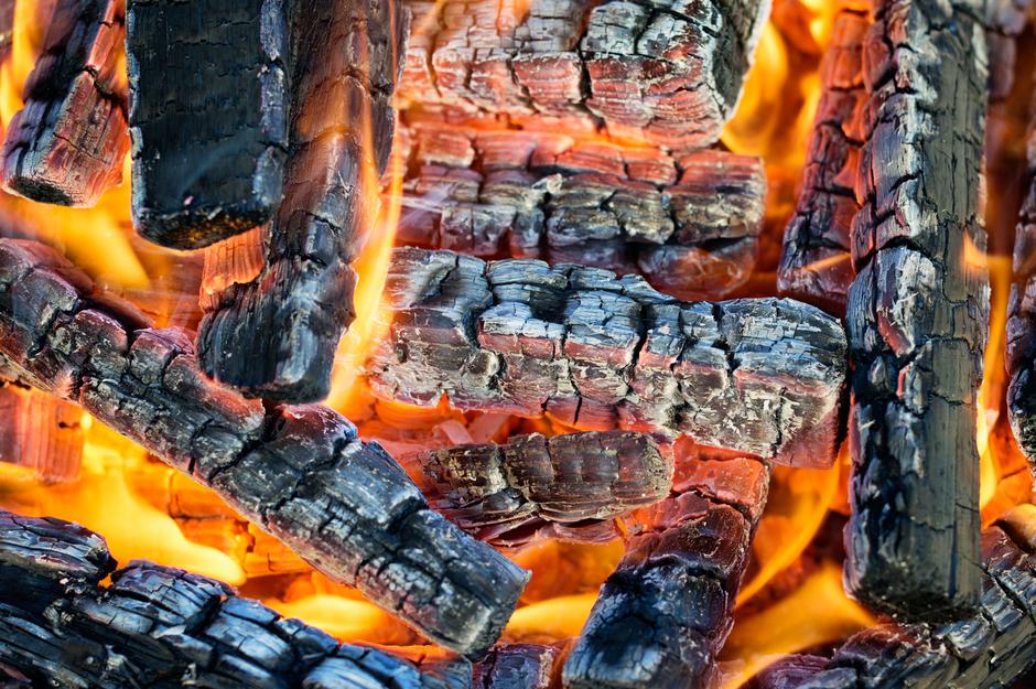 Kurjenje | Avtor: Profimedia