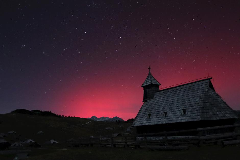 Severni sij | Avtor: Anton Špenko