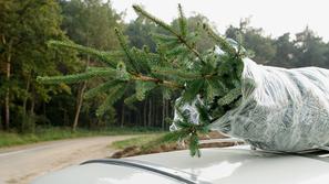 Avto in božično drevo