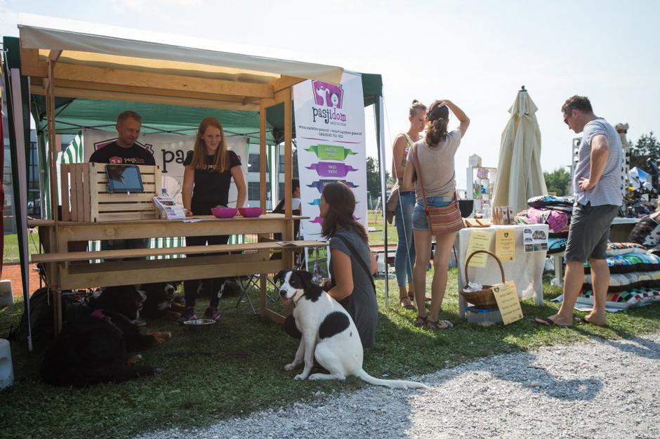 sejem 2016 | Avtor: Anže Petkovšek