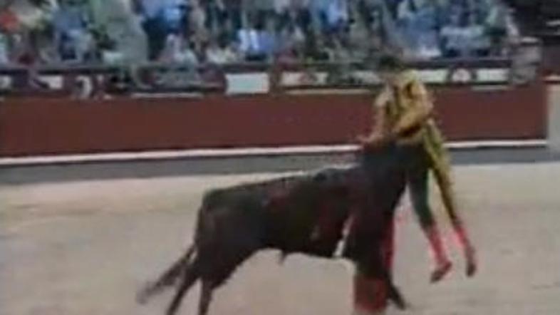 Bik je metadorja zabodel v trebuh.