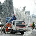 slovenija 03.02.14, gozdarji, zled, led, sneg, naravna katastrofa, skoda, elektr