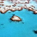 Veliki koralni greben, Heart Reef
