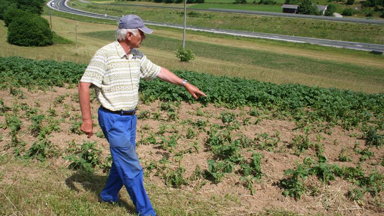 Franc Grden ne more verjeti, da je bilo toliko truda in dela, vloženega v njivo,