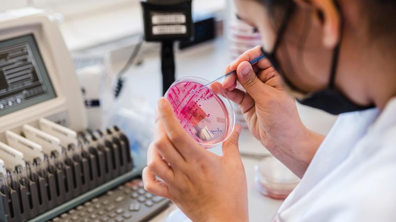 laboratorij analiza bakterij